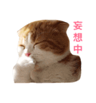 音スタンプ（個別スタンプ：9）