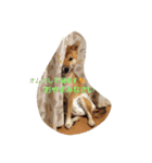 I love cats dog（個別スタンプ：1）