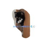 I love cats dog（個別スタンプ：4）