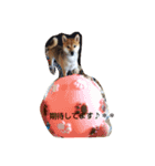I love cats dog（個別スタンプ：9）