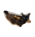 I love cats dog（個別スタンプ：14）