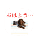 猫みたい…（個別スタンプ：6）