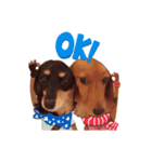 モカ＆ルナ（個別スタンプ：3）