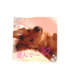モカ＆ルナ（個別スタンプ：5）