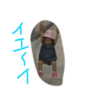 ウチの子（リコ）のスタンプ（個別スタンプ：12）