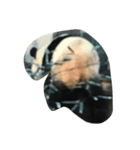 panda ueno zoo（個別スタンプ：5）