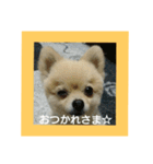 tarota（個別スタンプ：10）