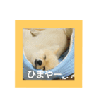 tarota（個別スタンプ：14）