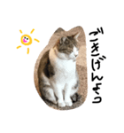 ykyk（個別スタンプ：3）
