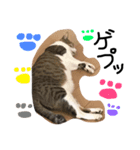 ykyk（個別スタンプ：5）