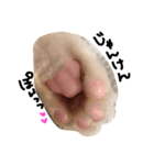 ykyk（個別スタンプ：6）
