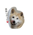 happy  smile smile（個別スタンプ：2）