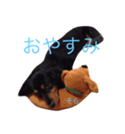 ダックスフンドのそらとりく（個別スタンプ：2）