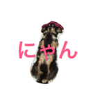 ぼっくん（個別スタンプ：2）