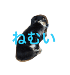 ぼっくん（個別スタンプ：3）