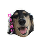 ぼっくん（個別スタンプ：4）