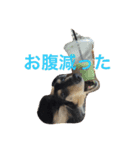 ぼっくん（個別スタンプ：5）