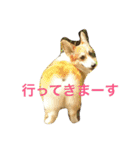 mnm（個別スタンプ：5）