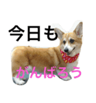 mnm（個別スタンプ：6）