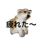 mnm（個別スタンプ：7）
