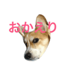 mnm（個別スタンプ：9）