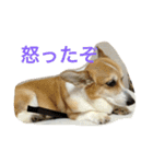 mnm（個別スタンプ：14）