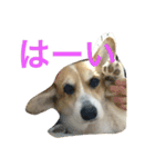 mnm（個別スタンプ：16）