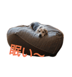 ゆずんぷ（個別スタンプ：1）