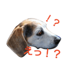 ゆずんぷ（個別スタンプ：18）