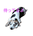 ゆずんぷ（個別スタンプ：21）