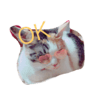 cat love life（個別スタンプ：4）