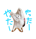 陽向梅影（個別スタンプ：9）