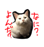 陽向梅影（個別スタンプ：15）