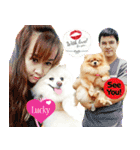 Pomeranian lover（個別スタンプ：16）