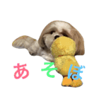 Ta E Ru To（個別スタンプ：1）