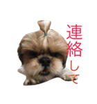 Ta E Ru To（個別スタンプ：4）