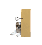Ta E Ru To（個別スタンプ：5）