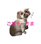 Ta E Ru To（個別スタンプ：6）