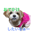 Ta E Ru To（個別スタンプ：8）