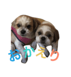Ta E Ru To（個別スタンプ：9）