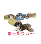Ta E Ru To（個別スタンプ：11）