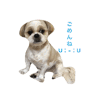 Ta E Ru To（個別スタンプ：15）