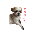 Ta E Ru To（個別スタンプ：16）
