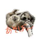 カニーヘンダックスのバニラくん（個別スタンプ：4）