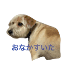 トックスタンプ（個別スタンプ：4）