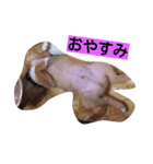福助となかまたち（個別スタンプ：2）