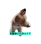 福助となかまたち（個別スタンプ：4）