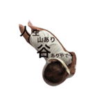 YuzuStyle（個別スタンプ：14）