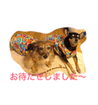 TEARAMA（個別スタンプ：3）