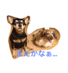 TEARAMA（個別スタンプ：7）